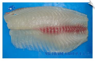 Tilapia Fillet, Non-CO Treated, Deep Skinned with 2/3 Bloodline, Premium Trimmed