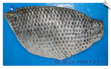 Tilapia Fillet, Non-CO Treated, Skin-On Full Fillet, Well Trimmed